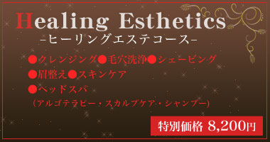 ヒーリングエステコース クレンジング、毛穴洗浄、シェービング、眉整え、スキンケア、ヘッドスパ(アルゴテラピー)、スカルプケア、シャンプー)特別価格8,200円