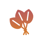 アイコン_漢方薬草塩サウナ