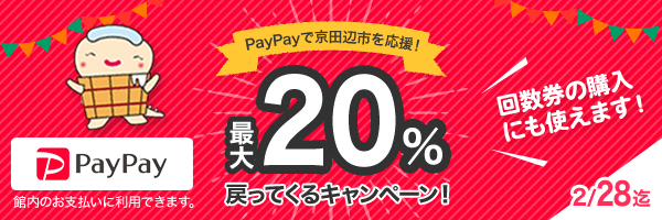 PayPayポイント最大20％戻ってくるキャンペーン！