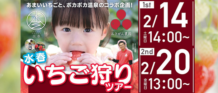 あまいいちごと、ポカポカ温泉のコラボ企画！「水春いちご狩りツアー」45分間いちご食べ放題　第1回2月14日14時～、第2回2月20日13時～