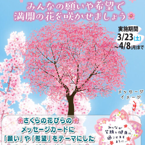 2403sakura-message-500x500.jpg