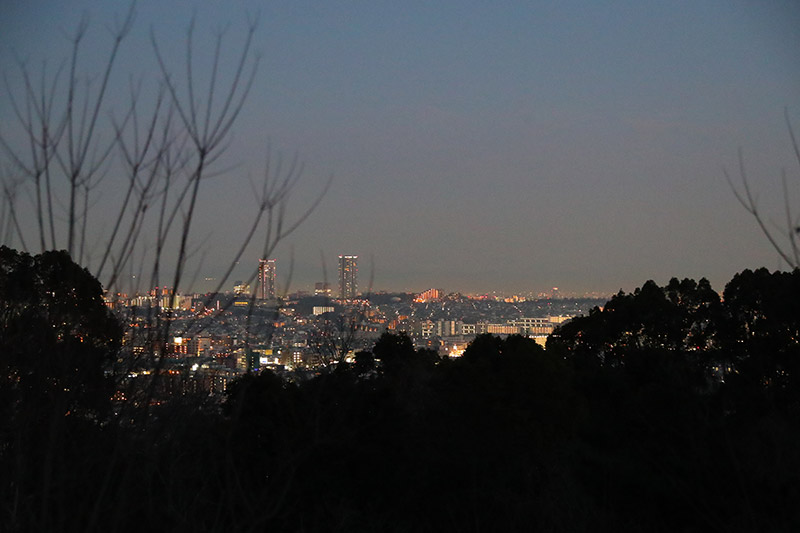 キャンプ場からの市街地の夜景