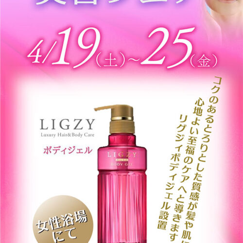 2504biyou-fair-500x500.jpg