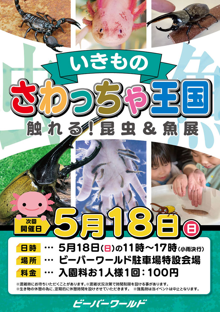 いきものさわっちゃ王国開催　5月18日