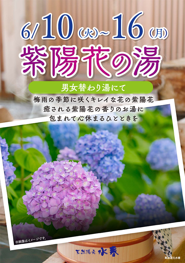 紫陽花の湯　6月10日～16日