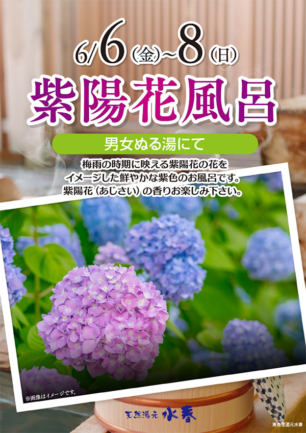 紫陽花風呂　6月6日(金)～8日(日)