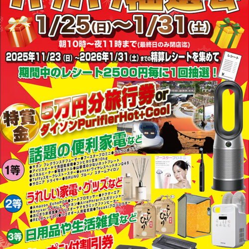 2601garagara2-500x500.jpg