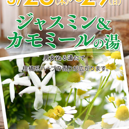 ジャスミン＆カモミールの湯 3/26(木)～3/29(日) - 東香里湯元水春
