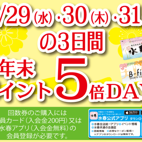 12月29日(水)・30日(木)・31日(金)年末ポイント5倍DAY