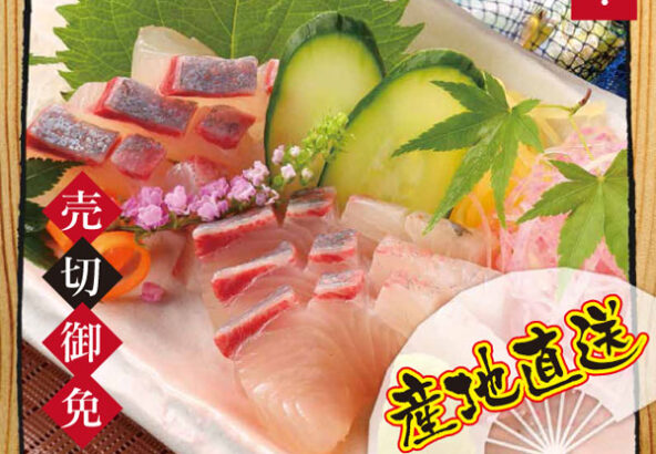 期間限定！本日のお造り膳
