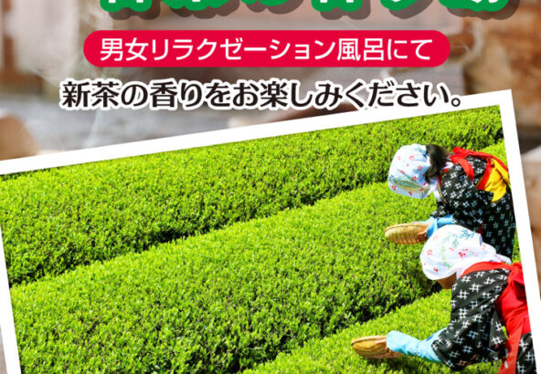 「一番茶の香り湯」5月23日・24日
