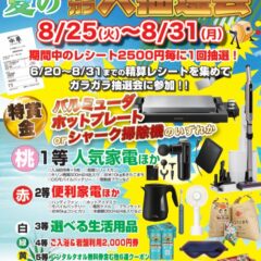 夏のガラガラ大抽選会