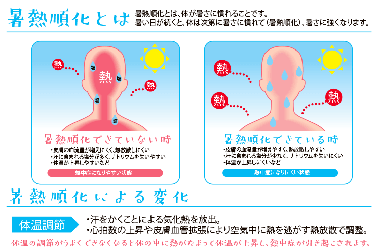 暑熱順化について